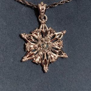 Silver and Diamond Pendant Necklace NWT